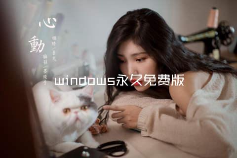 windows永久免费版